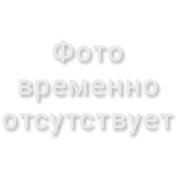 Фото ожидается